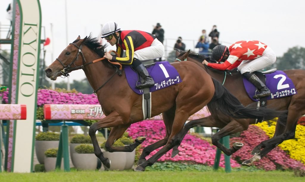 🏇 교토 경마장 이미지 12